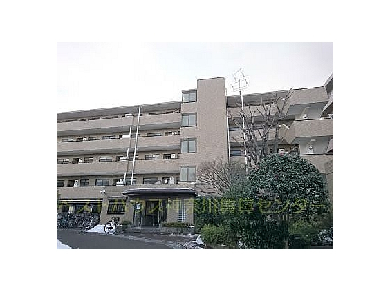 外観図