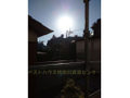  その他の写真  