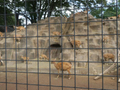 2025/09/28 夢見ヶ崎動物公園