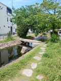 2026/05/10 新緑の季節♪