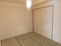  その他の写真 