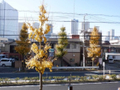  その他の写真 