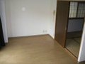  その他の写真 