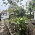  その他の写真  