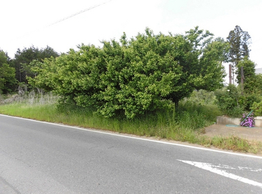 茨城県つくば市の土地 第一地所 つくばの土地 中古マンション 中古住宅を扱う不動産屋