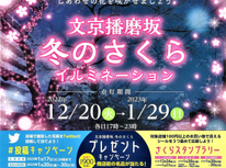 ■残念なお知らせ■文京播磨坂「通称：桜並木通り」イルミネーション『地元３商店会合同：冬のさくらスタンプラリー開催』是非ご参加願います。