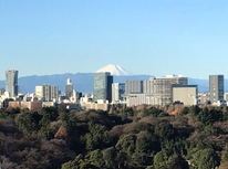 本年もよろしくお願い申し上げます