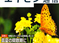 オーナー様向けマガジン「エイセン通信」２０２４年８月号のご紹介です。『賃貸需要閑散期の８月真夏に考える事は！？』