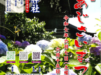 第４１回「文京　あじさいまつり」が開催されます。文京区で５大「花まつり」の一つです。是非お立ち寄り願います。