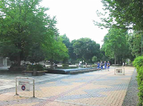 ラ・ネージュ小石川：文京区大塚３丁目賃貸物件【茗荷谷駅】