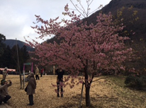 湯河原梅園と日帰り温泉