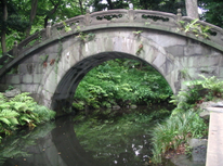 オーナー様へ　パート２３　「税理士さんも専門特化へ」　