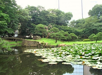 どうもありがとうございました。お心安らかにお休みください。