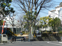 某一級建築士との雑談から～スキップエレベーター、、て？～