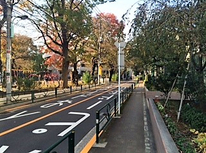 ＝＝再掲載＝＝文京区大塚１丁目公園：新大塚公園【茗荷谷駅】