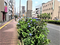 賃貸管理業者・仲介業者へのquestion＆answer【其の一：契約の締結】■成年年齢引き下げによる賃貸契約時に注意が必要！