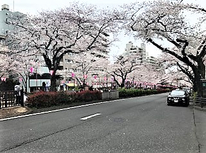 賃貸管理業者・仲介業者へのquestion＆answer【其の四：契約の更新】改正民法を踏まえ重要なので再掲載します。