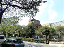 ファミリーにお奨めの賃貸住宅情報が豊富。静かな住宅地・住環境も良好！文京区コミュニティーバス：B-グルもお奨め。