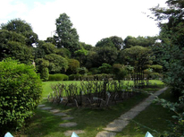 民泊新法、本年６月に、いよいよ施行