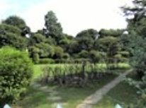 『所有者不明土地対策＆放置空き家対策』相続登記義務化の改正案決定。罰則規定定も！相続時混乱考え早期対策必要です。　