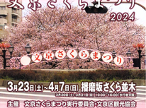 【速報】文京さくら祭！！４年ぶりの開催となります。是非、皆様、ご家族揃ってお越し頂ければと思います。『開催後のご報告』