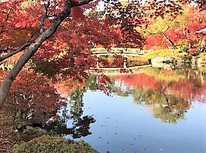 数字で見る相続『昨年度より５０件も増え１，３００件にも』？？