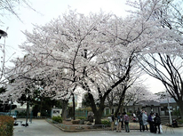 事業用賃貸物件のオーナー様、商店街ニュースに気になります記事が掲載されていました。