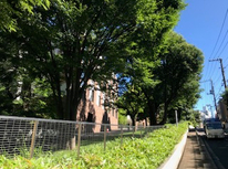 １２月の嵐（２０１５年１２月１２日の記事）【１２月の「嵐？」エルニーニュ現象の凄さ！見せつけられました。】