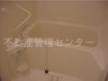  その他の写真 