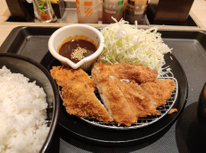 ささみかつ500円