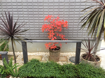 紅葉も終わりです！