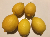 季節はずれの収穫！