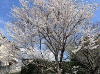 あっという間です