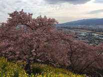 もう少し頑張って！