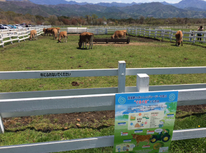 ジャージー最高！