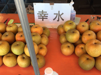 数字が名前！？