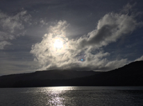 本当のマリモ！？