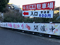 春のイベント開始！