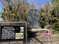 あっという間！