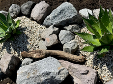 初めまして！鈴木不動産の岩本です！