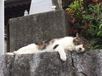 来週からGWに突入