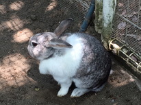 木のぬくもりが感じられます！