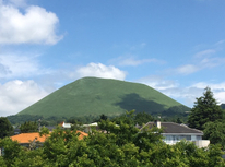 緑が美しい季節になりました！