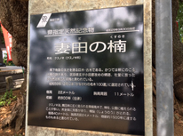 身近な厚木の文化財！