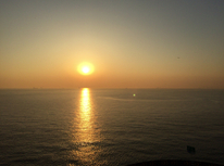 この時期は忘れがち…