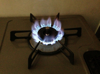 自宅の周囲はきれいにしておきましょう