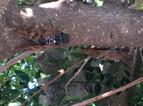 夏の終わりを感じます！