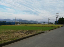 ウォーキング始めました