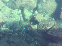 ドライブ日和！