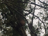 えっ！！　　　　うそ！？